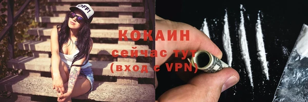 ПСИЛОЦИБИНОВЫЕ ГРИБЫ Белокуриха