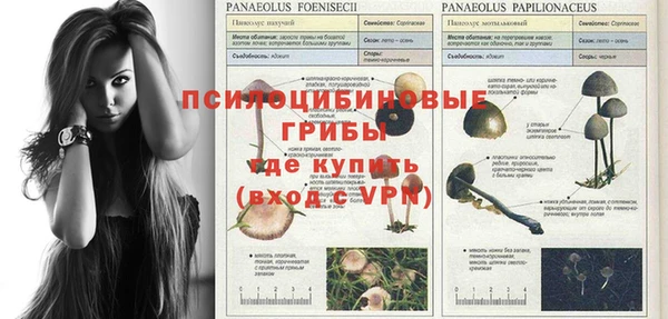 ПСИЛОЦИБИНОВЫЕ ГРИБЫ Белокуриха