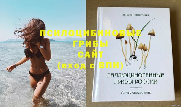ПСИЛОЦИБИНОВЫЕ ГРИБЫ Белокуриха